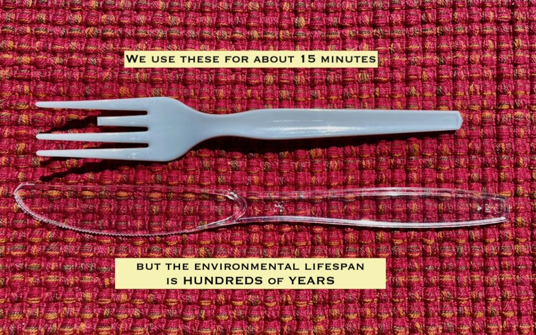 Disposable Plastic Eating Utensils