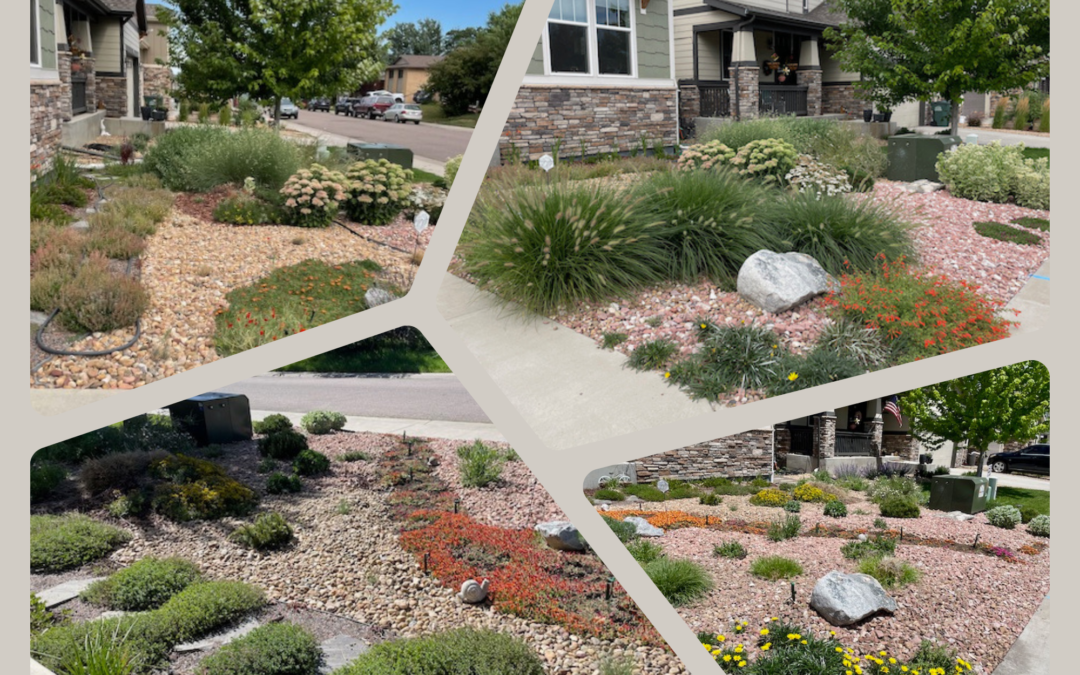 Xeriscape: Create a Beautiful Space, Use Less Water and Save Time on Maintenance